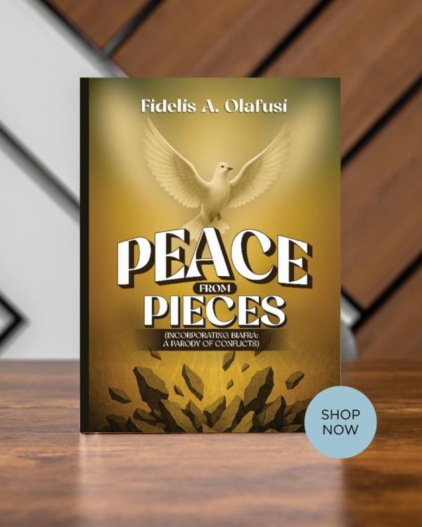 Peace From Pieces